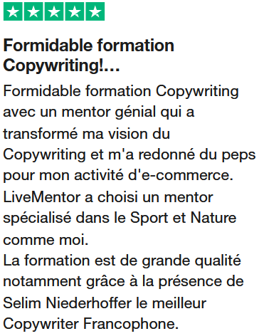 avis sur la formation copywriting livementor